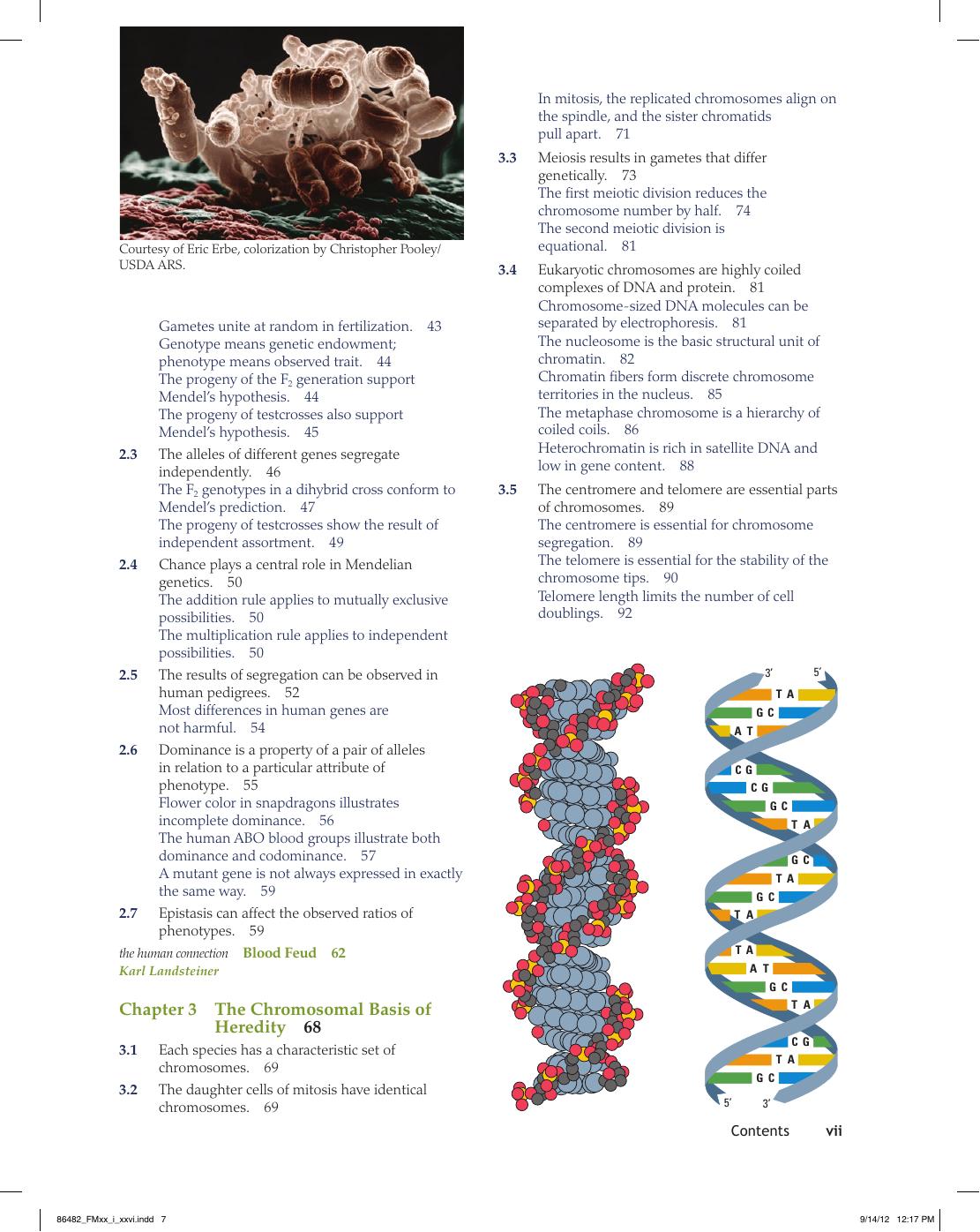 Preview page 8 of Essential Genetics A Genomics Perspect 6th Edition By Daniel Hartl eBook