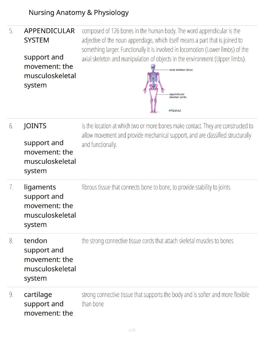 Preview page 2 of Nursing Anatomy & Physiology 2026 – Comprehensive Study Guide, Practice Questions & Human Body Systems Review