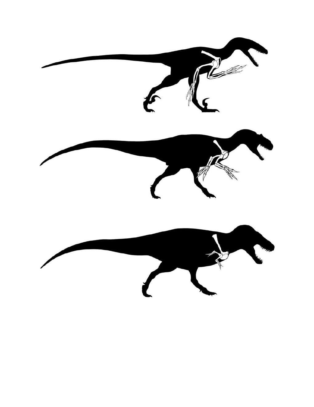 Preview page 2 of Dinosaurs The Textbook 7th Edition by Spencer Lucas