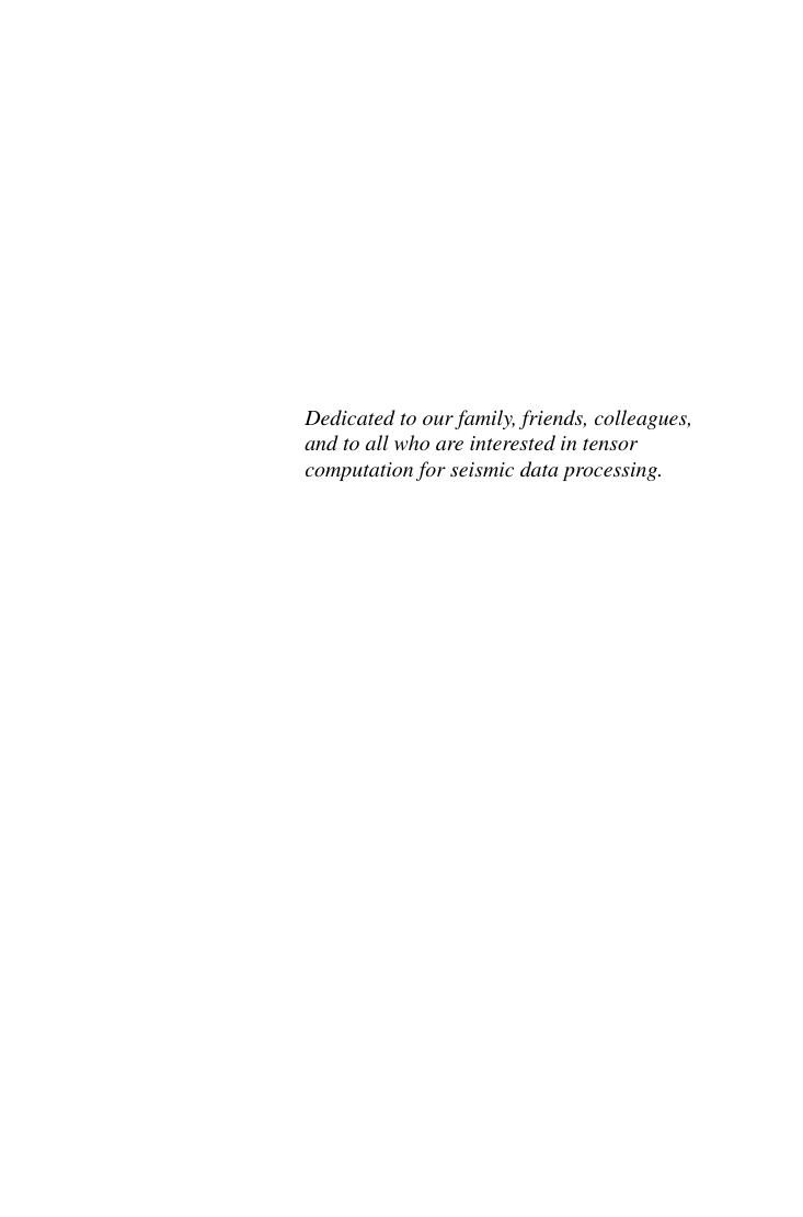 Preview page 6 of Tensor Computation for Seismic Data Processing By Feng Qian; Shengli Pan; Gulan Zhang