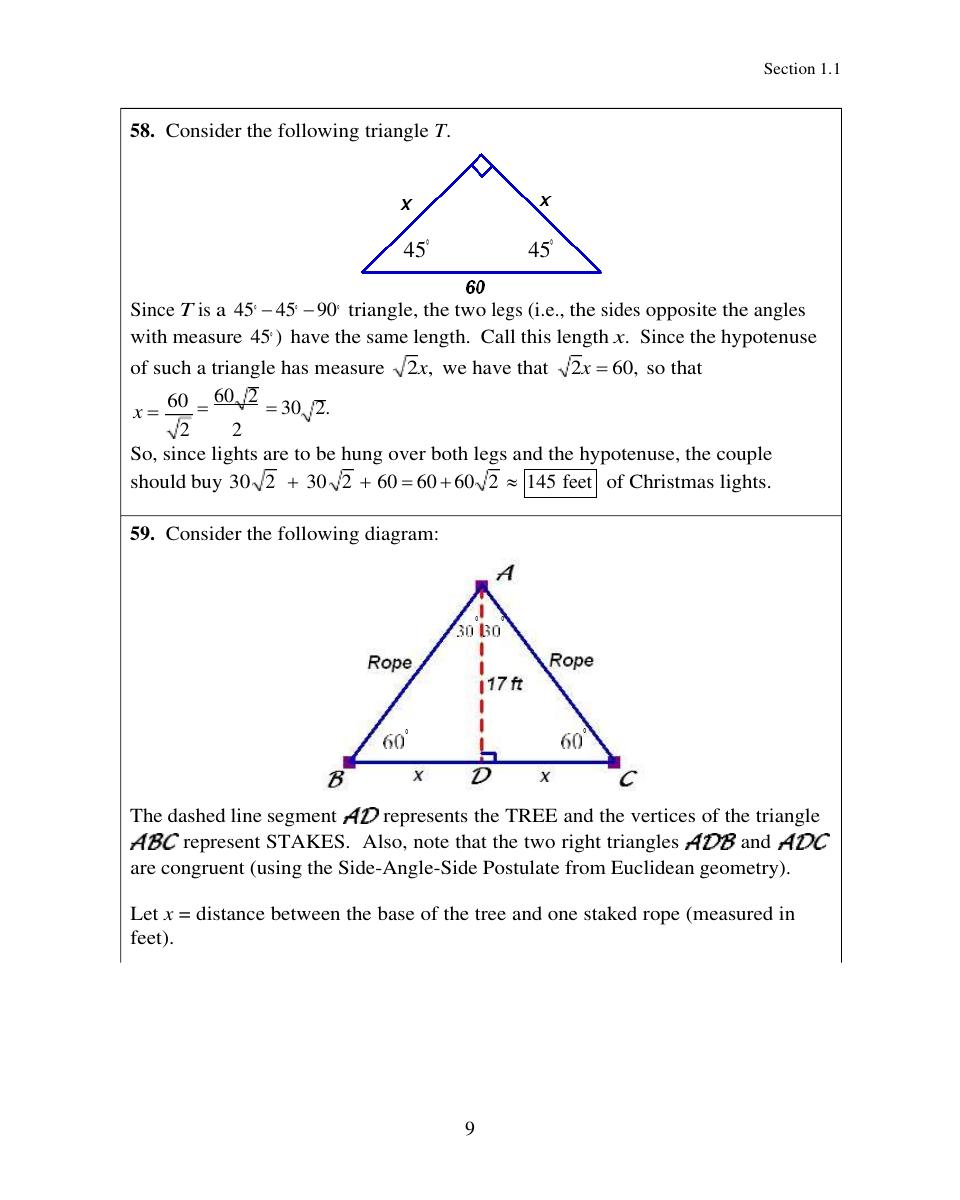 Preview page 9 of Solution Manual for Trigonometry, 5th Edition by Cynthia Y. Young