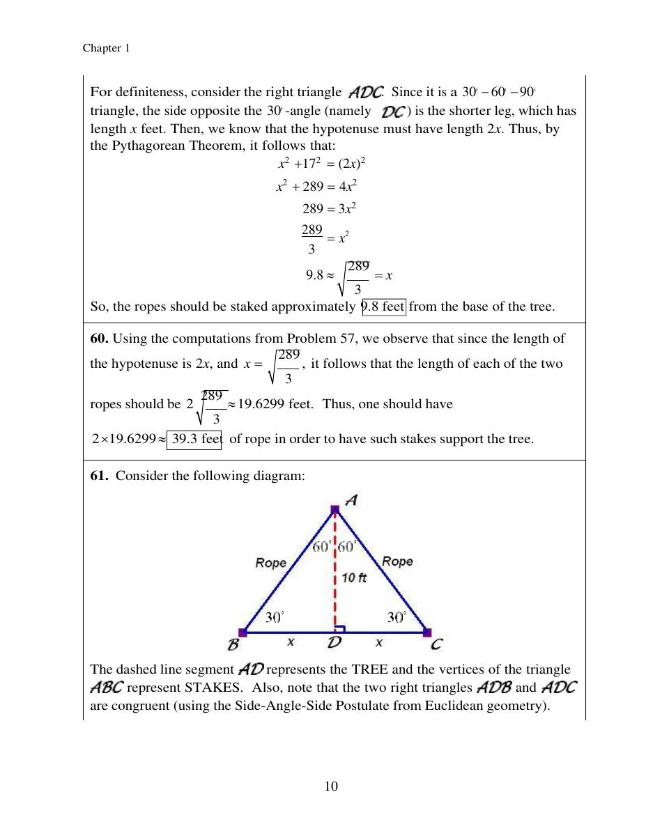 Preview page 10 of Solution Manual for Trigonometry, 5th Edition by Cynthia Y. Young