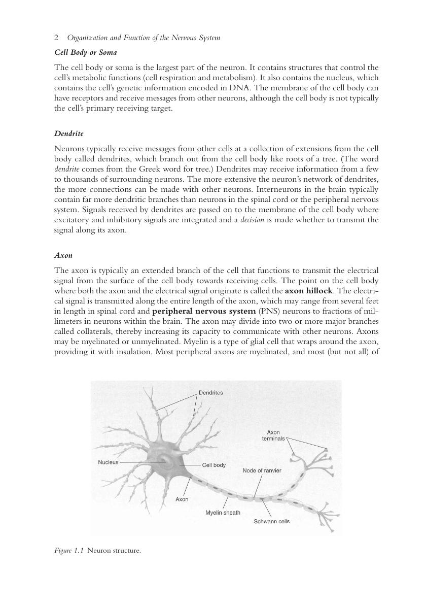 Preview page 8 of Psychopharmacology 3rd Edition By R. H. Ettinger