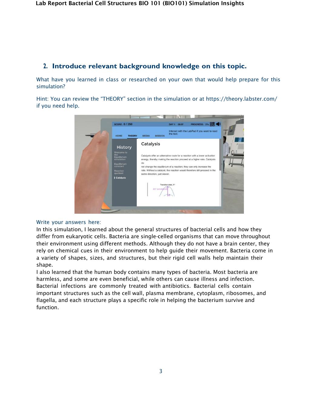 Preview page 3 of Bacterial Cell Structures BIO 101 (BIO101) Simulation Insights Complete & Verified Lab Report Rated A+