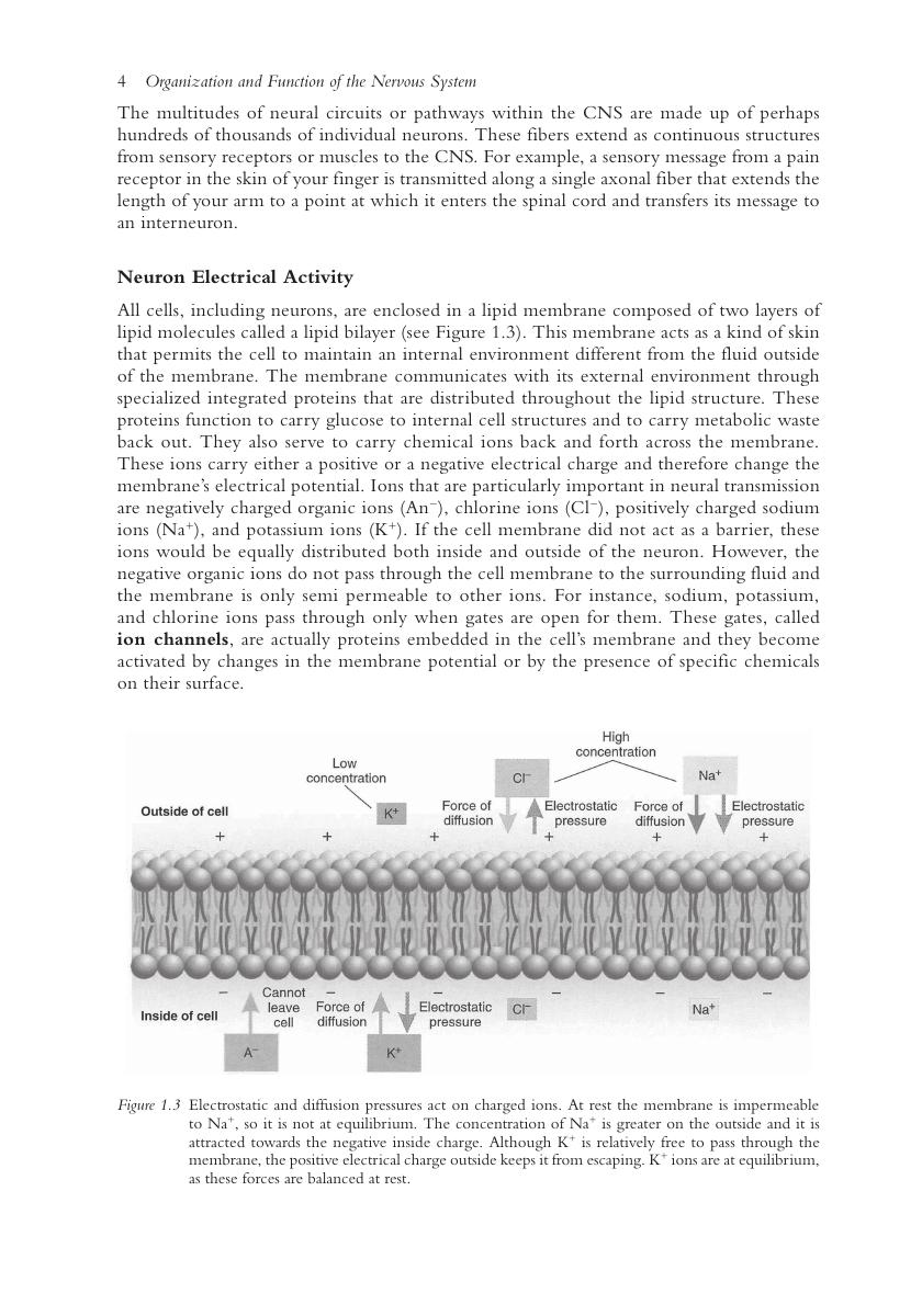 Preview page 10 of Psychopharmacology 3rd Edition By R. H. Ettinger