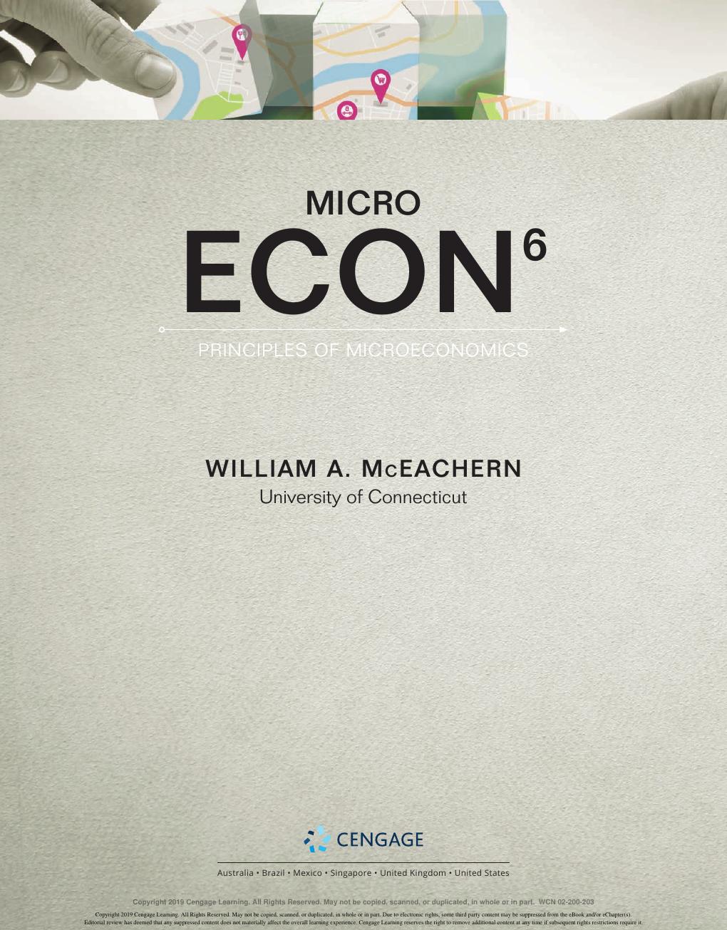 Preview page 2 of Econ mirco 2nd Edition By Rama Rao Nadendla