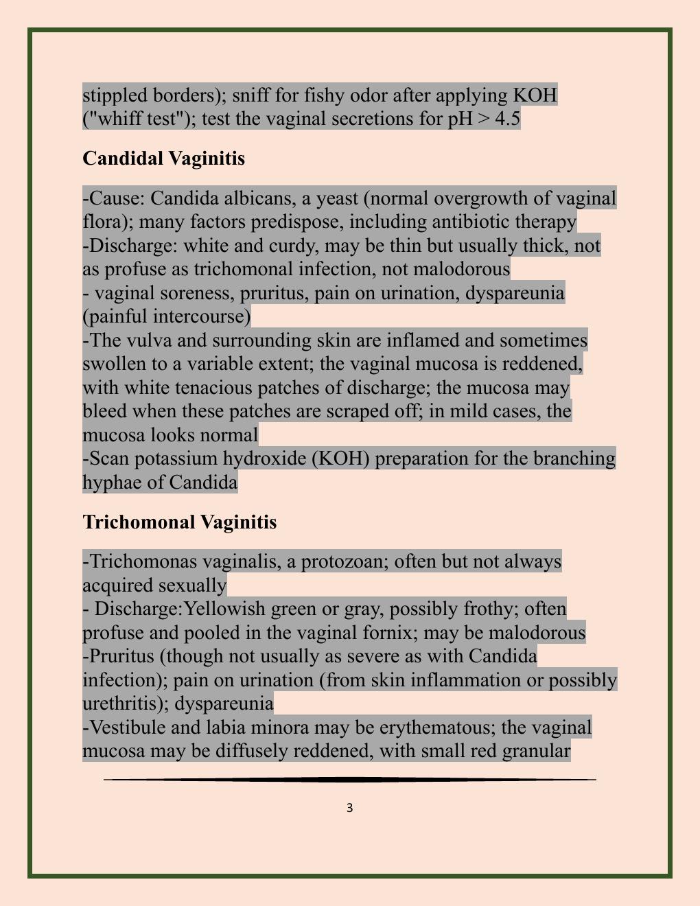 Preview page 3 of NR 509 Final Exam Questions and Answers