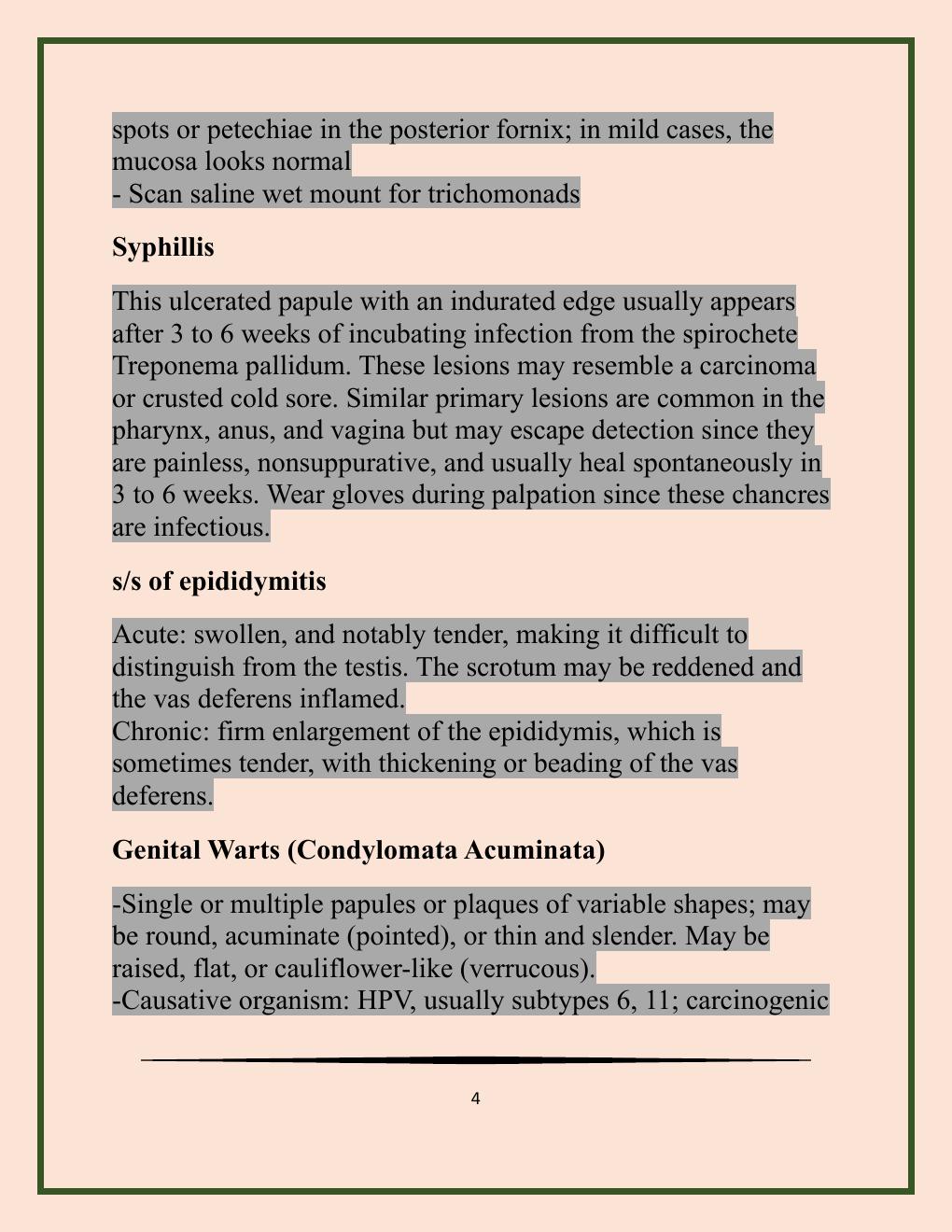 Preview page 4 of NR 509 Final Exam Questions and Answers