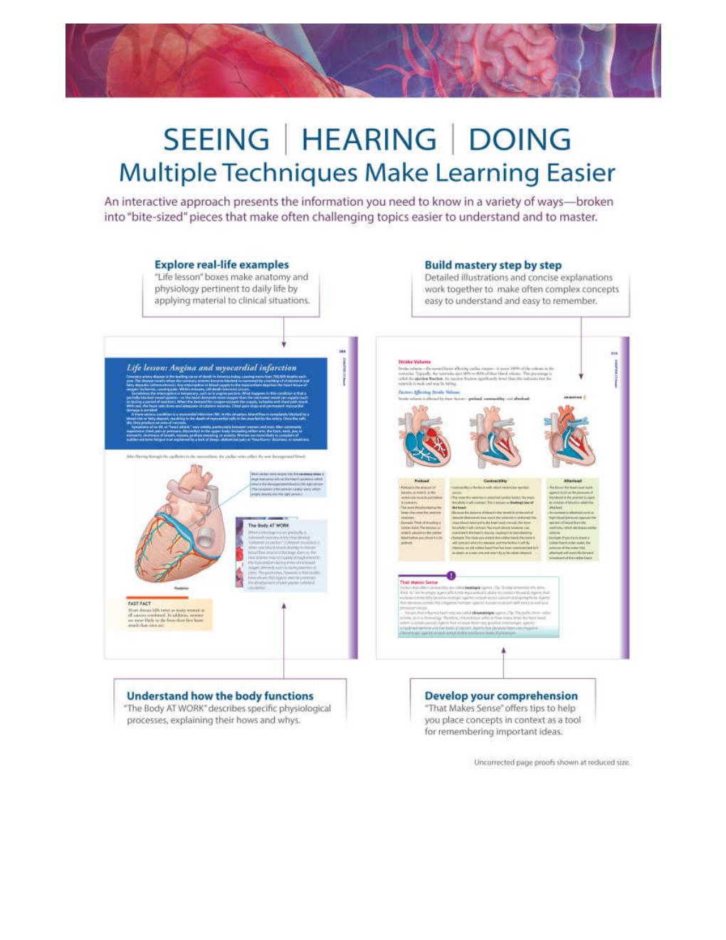 Preview page 4 of Understanding Anatomy & Physiology A Visual, Auditory, Interactive Approach 4th Edition By Gale Sloan Thompson