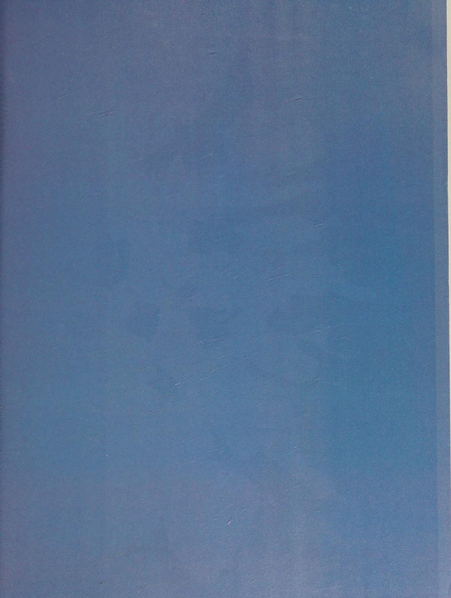 Preview page 2 of College Success A Concise Practical Guide 7th Edition By David Strickland
