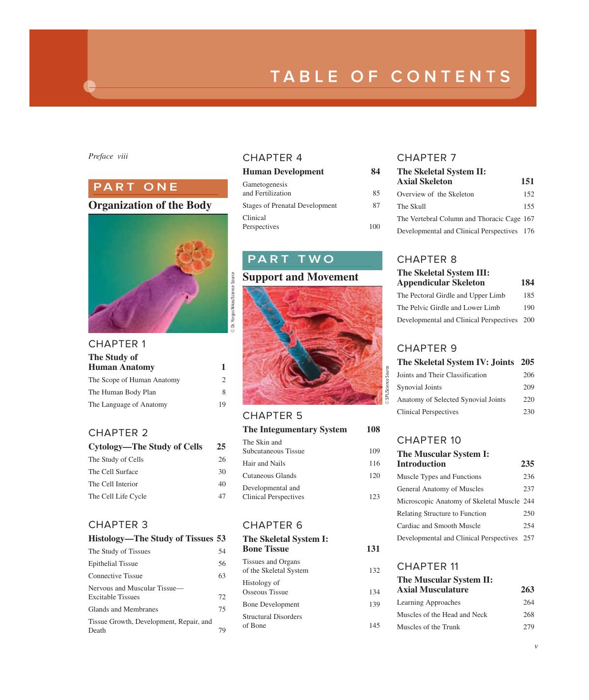 Preview page 6 of Human Anatomy 5th Edition By Kenneth Saladin