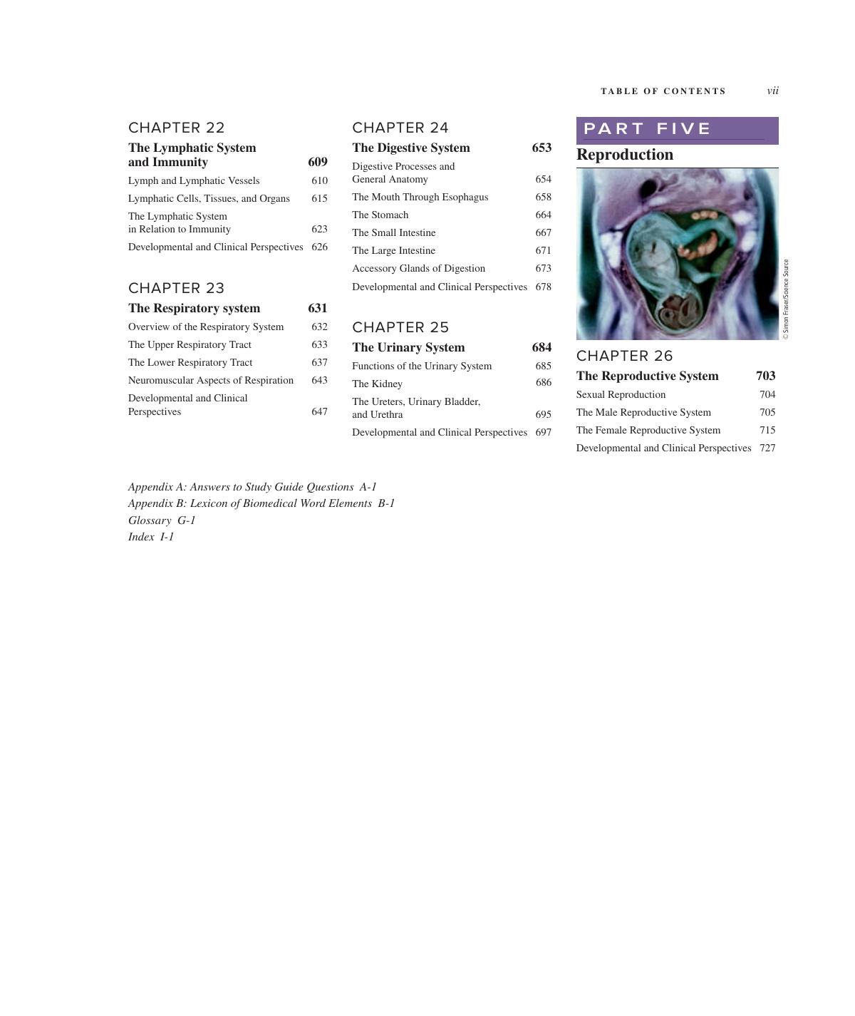 Preview page 8 of Human Anatomy 5th Edition By Kenneth Saladin