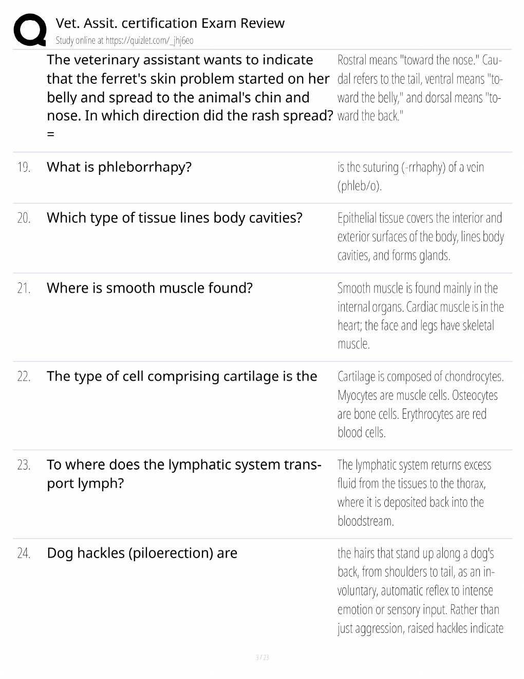 Preview page 3 of Vet Assistant Certification Exam Review / Score 100% / 2025 Update