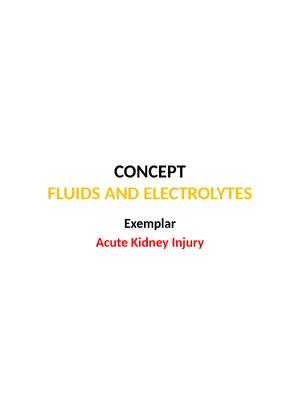 Preview of CONCEPT FLUIDS AND ELECTROLYTES Exemplar Acute Kidney Injury