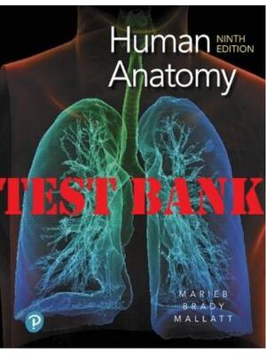 Preview of Test Bank for Human Anatomy 9th Edition by Marieb by Elaine Marieb, Patricia Brady, Jon Ma