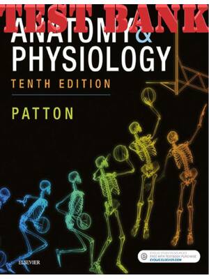 Preview of TEST BANK for Anatomy & Physiology by Kevin T. Patton PhD