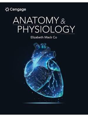 Preview of Test Bank for Anatomy & Physiology 1st Edition By Elizabeth Co (All Chapters 100% Original