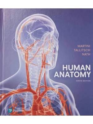 Preview of Test Bank For Human Anatomy, 9th Edition By Frederic Martini Michael  Timmons, Robert  Tal