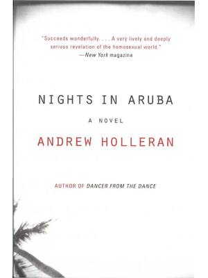 Preview of Nights in Aruba By Andrew Holleran