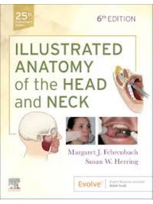 Preview of Test Bank Illustrated Anatomy of the Head and Neck 6th Edition By Margaret Fehrenbach, Sus