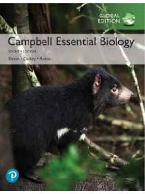 Preview of Test Bank Campbell Essential Biology 7th Editiopn By Eric Simon, Kelly Hogan, Jane Reece