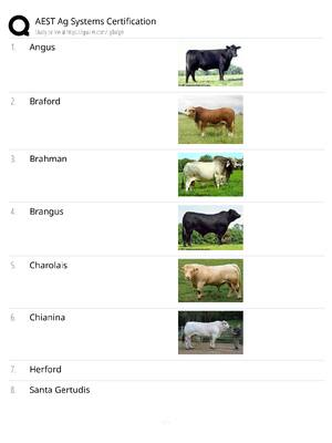 Preview of AEST Ag Systems Certification / score 100% / 2025 update / agricultural systems exam prep
