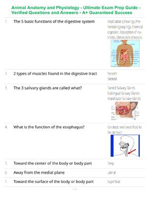 Preview of Animal Anatomy and Physiology - Ultimate Exam Prep Guide - Verified Questions and Answers