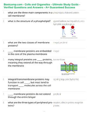 Preview of Bootcamp.com - Cells and Organelles - Ultimate Study Guide - Verified Questions and Answer