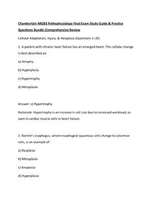 Preview of Chamberlain NR283 Pathophysiology Final Exam Study Guide &amp; Practice Questions Bundle (Comprehensive Review