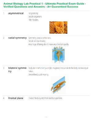 Preview of Animal Biology Lab Practical 1 - Ultimate Practical Exam Guide - Verified Questions and An