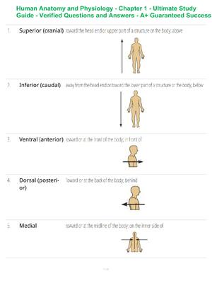 Preview of Human Anatomy and Physiology - Chapter 1 - Ultimate Study Guide - Verified Questions and A
