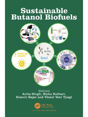Preview of eBook PDF Sustainable Butanol Biofuels Sustainable Butanol Biofuels 1st Edition By Anita S