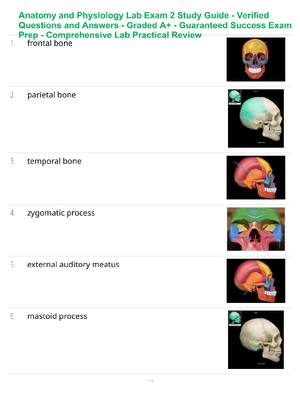 Preview of Anatomy and Physiology Lab Exam 2 Study Guide - Verified Questions and Answers - Graded A+