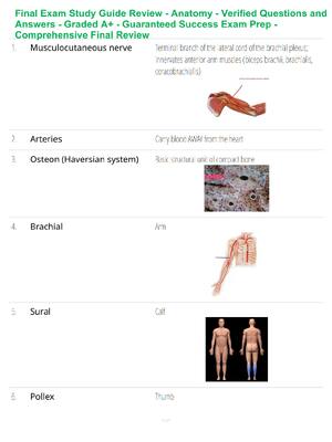 Preview of Final Exam Study Guide Review - Anatomy - Verified Questions and Answers - Graded A+ - Gua