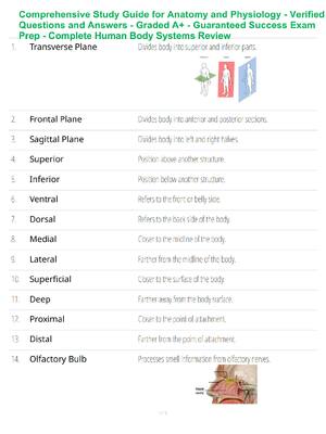 Preview of Comprehensive Study Guide for Anatomy and Physiology - Verified Questions and Answers - Gr