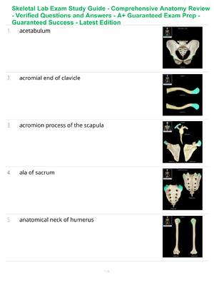 Preview of Skeletal Lab Exam Study Guide - Comprehensive Anatomy Review - Verified Questions and Answ