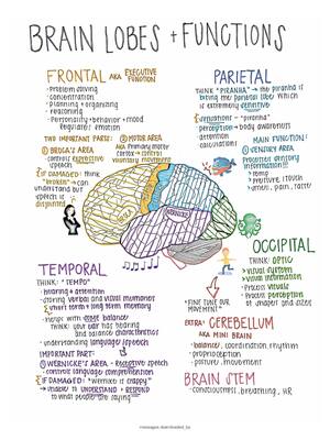 Preview image for NIH Stroke Scale  Neuro Exam Study Notes NEURO 101 2026