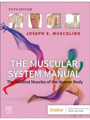 Preview of eBook EPUB PDF The Muscular System Manual Skeletal Muscles of the Human Body 5th Edition B