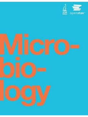 Preview of Test Bank for Microbiology 1st Edition By Nina Parker, Mark Schneegurt, Anh-Hue Thi Tu, Ph