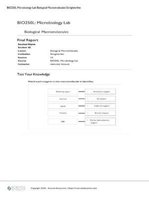 Preview image for BIO250LMicrobiology Lab Biological Macromolecules Straighterline 2026! 100% CORRECT ANSWERS ALREADY RATED A+