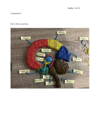 Preview of Advanced Practice Nursing in the Care of Older Adults Google Books Integration Test