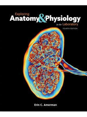 Preview of eBook Scan PDF Exploring Anatomy & Physiology in the Laboratory 4th Edition By Erin Amerma