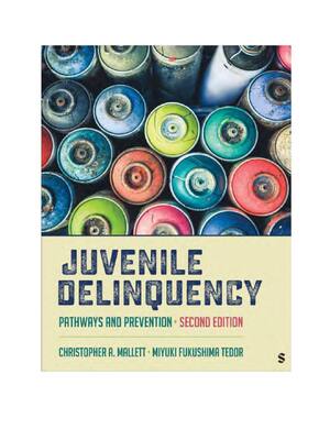 Preview of Juvenile Delinquency Pathways and Prevention 2nd Edition By Christopher Mallett, Miyuki Fu