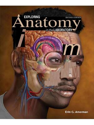 Preview of eBook PDF Exploring Anatomy in the Laboratory 2nd Edition By Erin C. Amerman