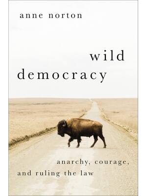 Preview of eBook Wild Democracy, Anarchy, Courage, and Ruling the Law 1st edition by Anne Norton