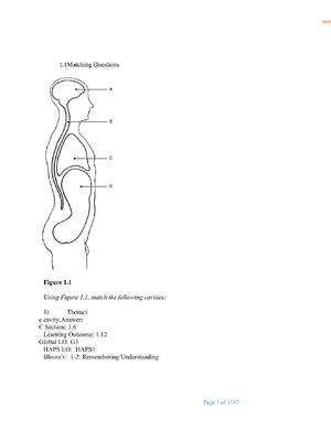Preview of Test Bank Marieb Human Anatomy and Physiology 12th Edition