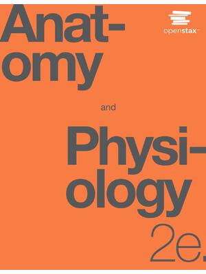 Preview of Anatomy and Physiology 2e — OpenStax, by Betts et al. (Official print version, black and w