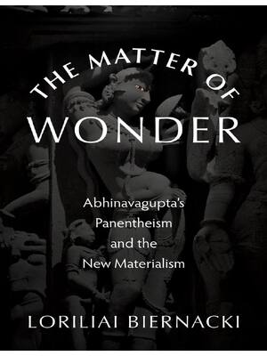 Preview of (EPUB) eBook The Matter of Wonder Abhinavagupta's Panentheism and the New Materialism 1st