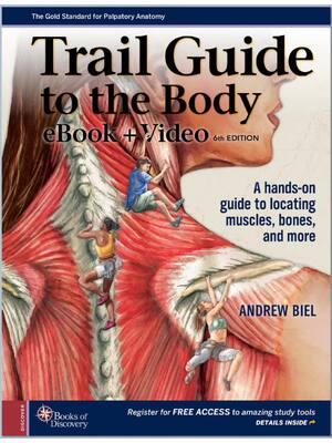 Preview of Trail Guide to the Body 6th Edition By Andrew Biel