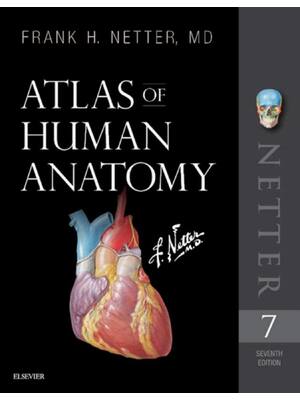 Preview image for eBook Atlas of Human Anatomy 7th  Edition By Frank H. Netter